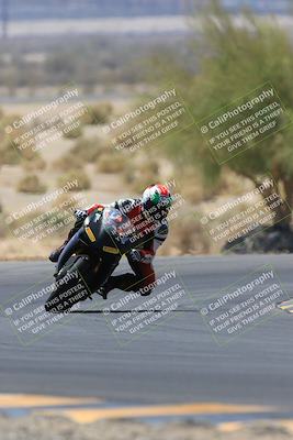 media/May-14-2023-SoCal Trackdays (Sun) [[024eb53b40]]/Turn 5 Tree of Life (1125am)/